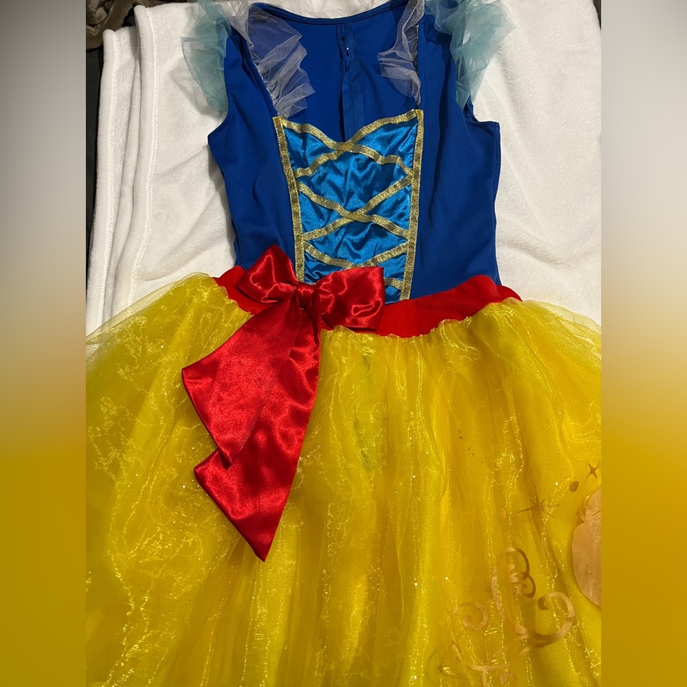 Disney Snow White Costume